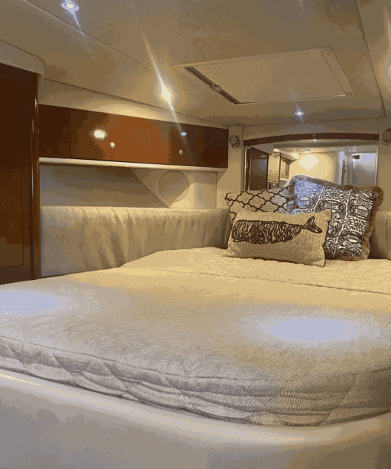 sea ray 330 2