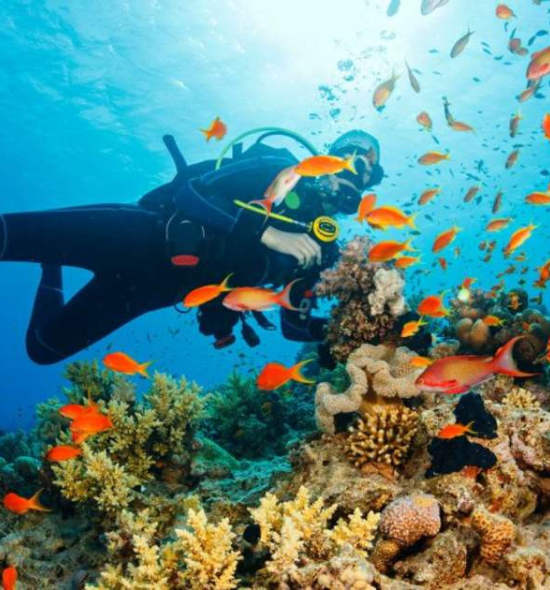 scuba diving at Amboli Goa